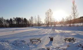 Långfärdsskridsko på frusen sjö i vinterljus (illustrationsbild)